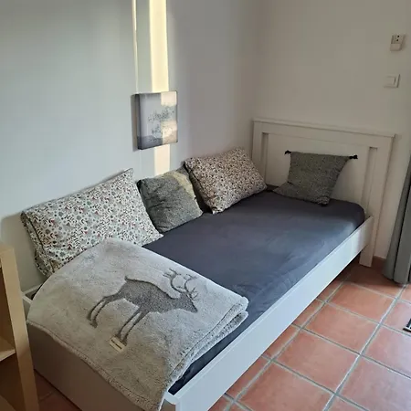 아파트 Escale Champetre 31 *