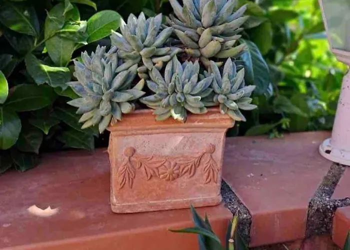 아파트 Escale Champetre 31