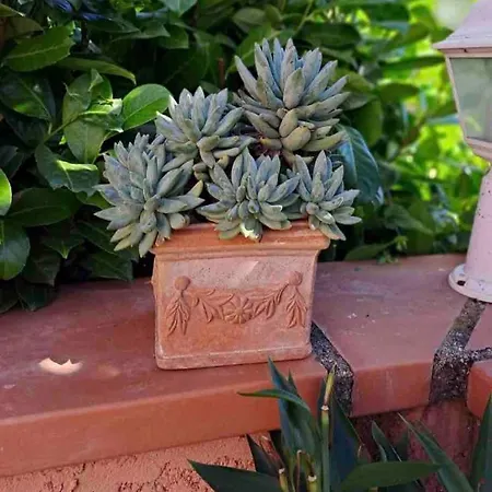 公寓 Escale Champetre 31